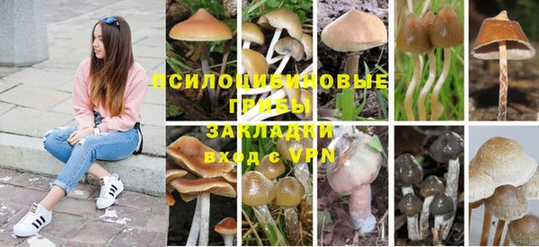 прущая мука Богородск