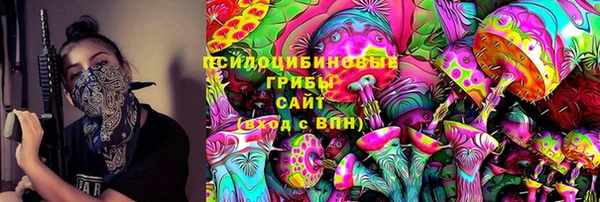 бошки Богданович