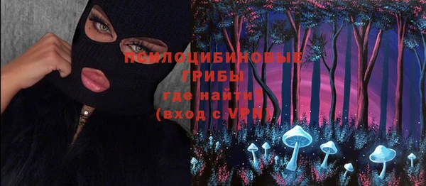 бошки Богданович
