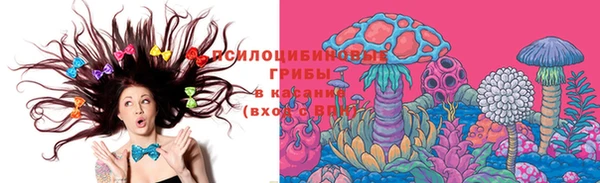 меф Богородицк