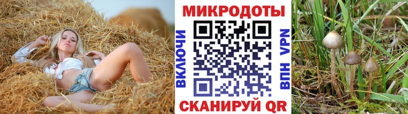 mega ONION Сковородино Галлюциногенные грибы GOLDEN TEACHER